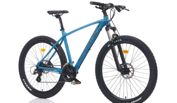 BROSTER KAYLON 29 HD